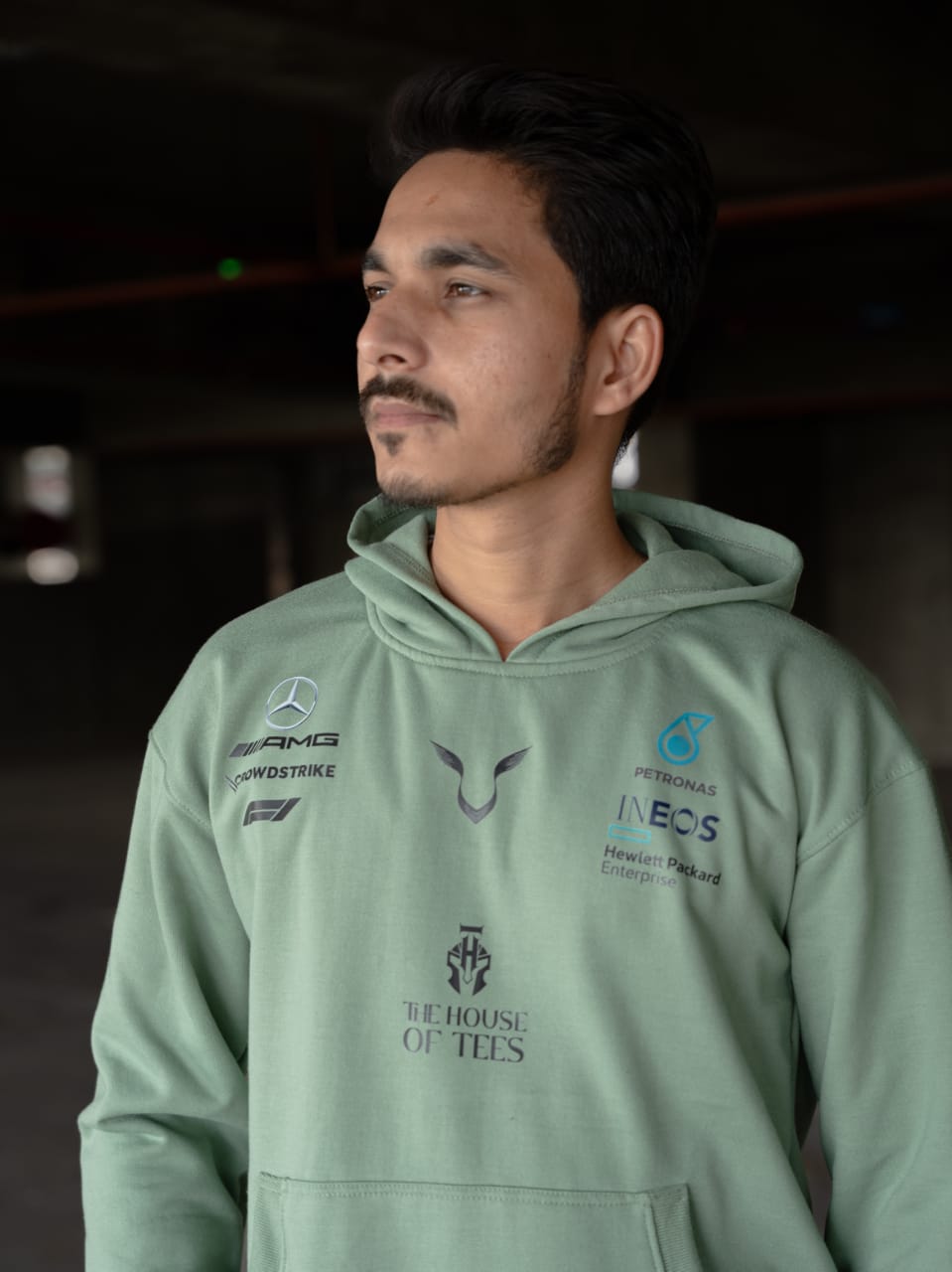 Formula 1 Lewis Hamilton Mercedes Unisex Hoodie